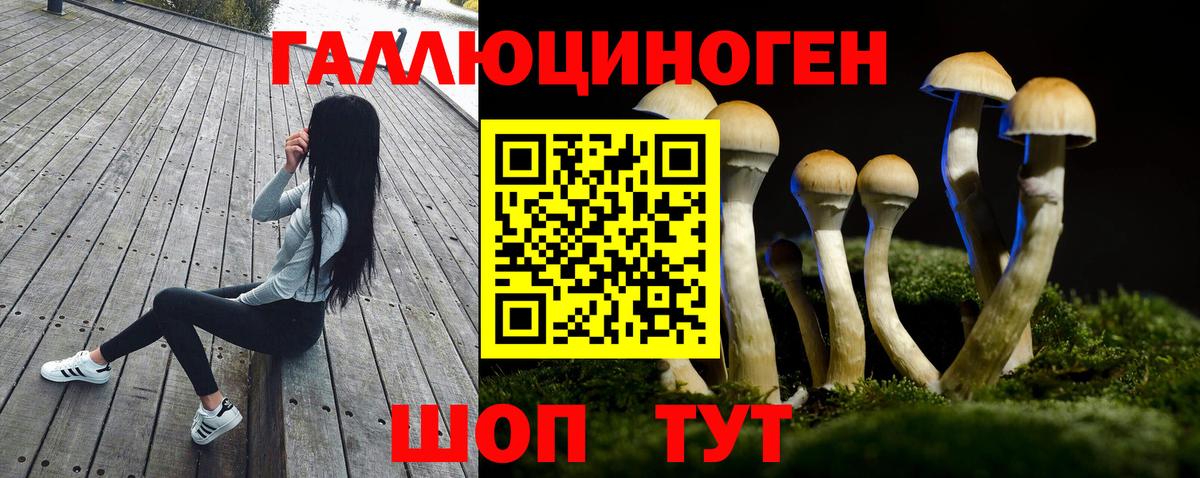 Псилоцибиновые грибы Magic Shrooms Искитим